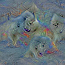 n02111500 Great Pyrenees